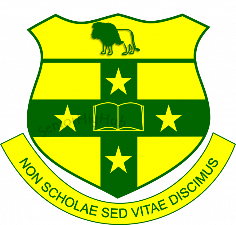 School 4